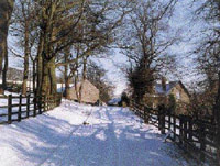 a photograph of a snow covered lane at Hollingworth farm