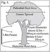 Figure 1 - showing where to erect a fence around a tree
