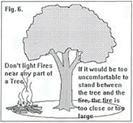 Figure 6 - dont light fires near any part of a tree