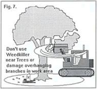 Figure 7 - Don't use weedkiller near trees or damage overhanging branches