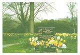 Memorial Garden for Babies at Dukinfield Cemetery