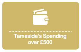 Tameside’s Spending over £500