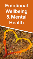 Emotional Wellbeing and Mental Health