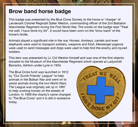 Brow band horse badge