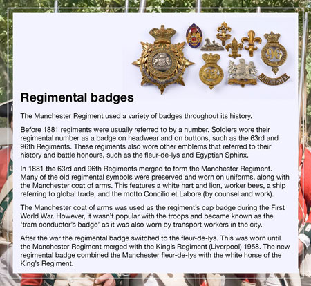 Regimental badges