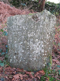 Photograph of Denton Lee memorial