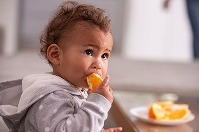 Book on Healthy Start training for professionals