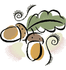 Acorns 