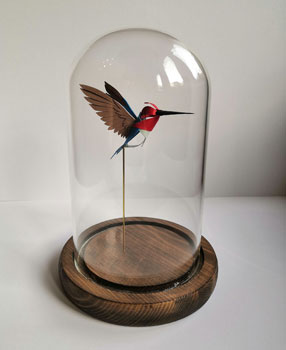 Hummingbird