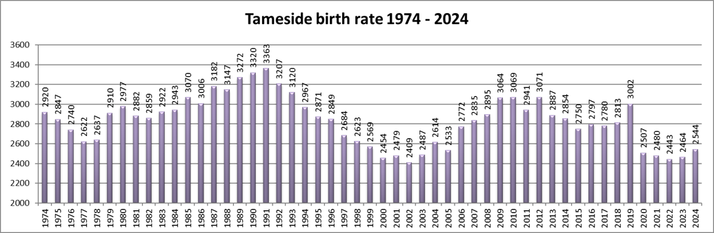 Tameside Birth Rate