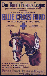 Blue Cross Poster