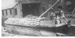 Loading wheat at Buckley and Newton's mill, Stalybridge