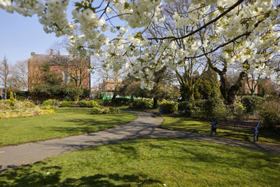 Countryside and Parks