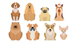 Dogs