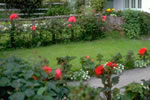 Image of a garden and path