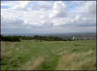 Image of the Gorse Hall site