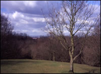 Image of Gower Hey Woods
