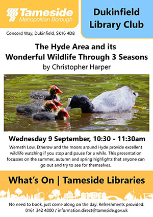 Hyde Library Club Poster