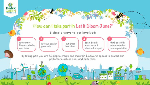 let it bloom
