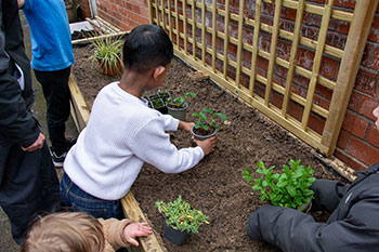 Alleyway planting