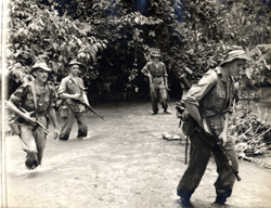 ‘Jungle Bashers’ 1951-53c.