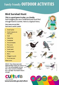 bird survival hunt