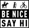 Be-Nice-Say-Hi