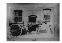 Horse & Cart in Stables yard