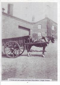 Horse and Cart outside Roller Shop