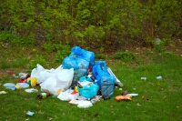 Image of Rubbish that has been dumped
