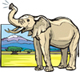 Image of an Elephant representing South Africa